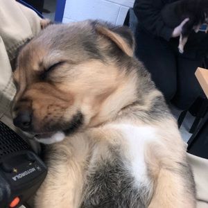 Meet your Posher, Stacy